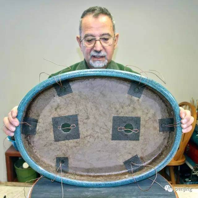 美国盆景大师手把手教你制作丛林盆景