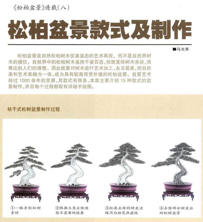 松柏盆景的制作方法【图解】