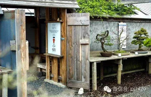 在德国，有这么一家盆景博物馆