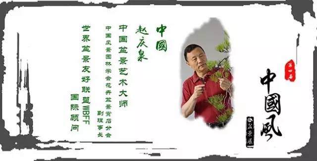 《中国-赵庆泉-盆景创作表演》第四届中国盆景展