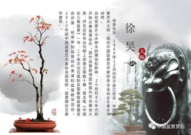 “2017年云南通海盆景艺术培训班”课程全记录！