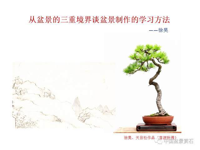 “2017年云南通海盆景艺术培训班”课程全记录！