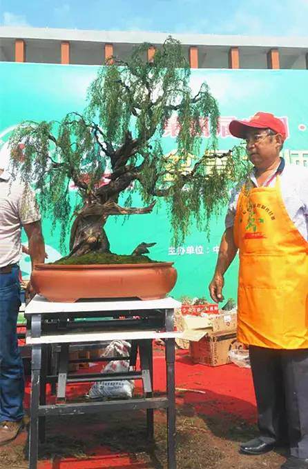 第四届中国风盆景展邀请嘉宾&mdash;&mdash;王如生