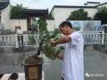2017徽州百工徽派盆景制作技艺大赛在歙县启动