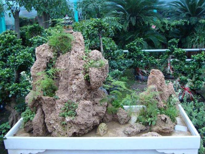 盆景的立意造景,是表现心志,展露“诗情画意”