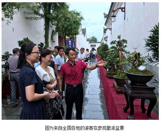 2017徽派盆景制作技艺大赛在徽州府衙广场举行