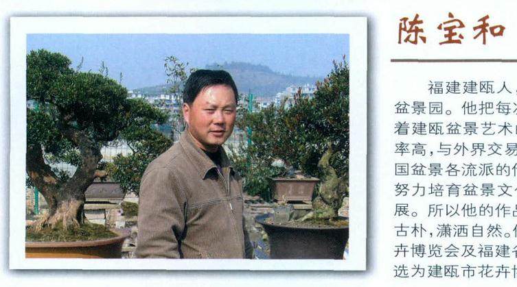 福建建瓯盆景艺术家--陈宝和