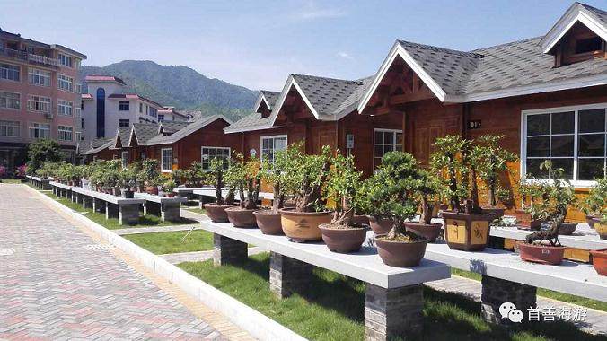 盆景乐园,是我们盆景爱好者的交流平台,是我们心中的天堂。