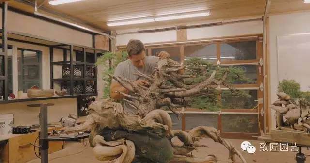 美国盆景大师的工作室,来看看!