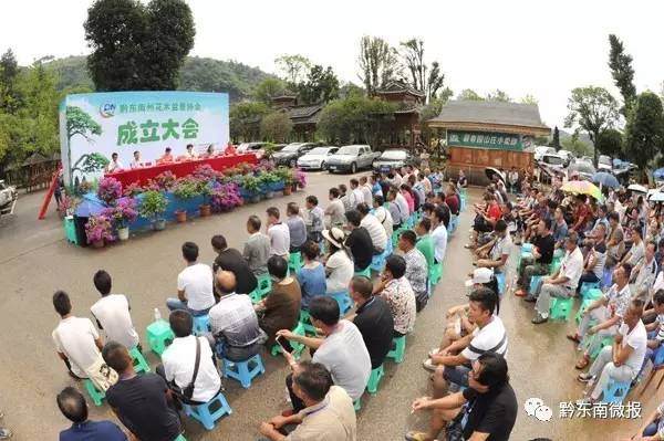 黔东南州花木盆景协会在小高山博园山庄成立。