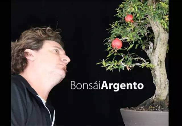 第四届中国风盆景展邀请嘉宾&mdash;&mdash;Sergio Luciani