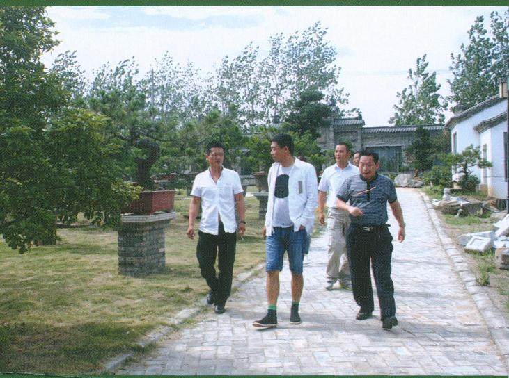 樊顺利先生对刚刚 成立的安徽盆景艺术协会