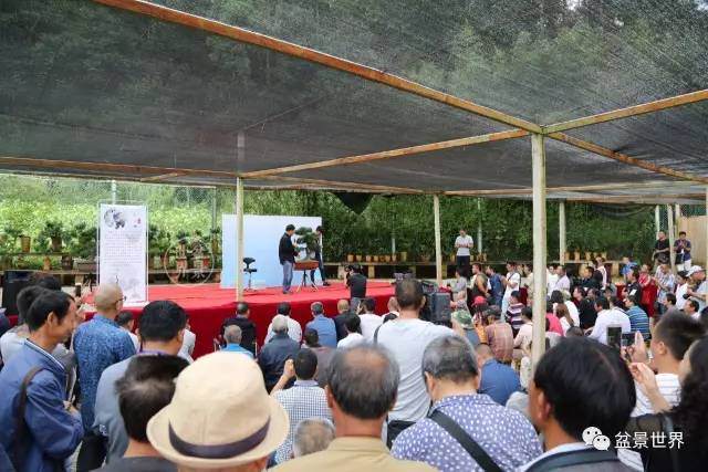 2017年云南盆景艺术培训班学员及嘉宾合影