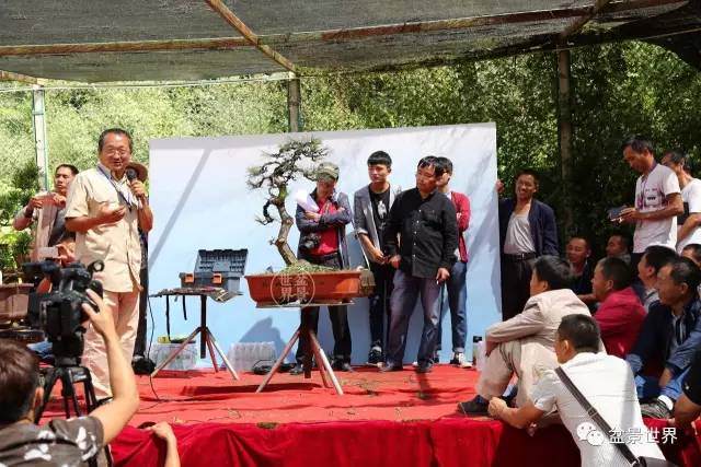 2017年云南盆景艺术培训班学员及嘉宾合影