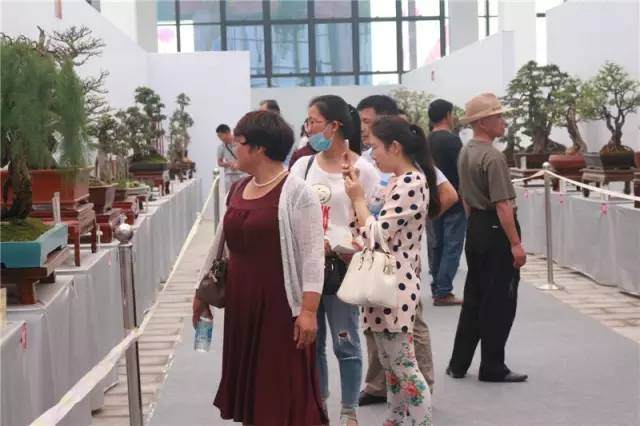 第四届中国精品盆景沭阳邀请展将于9月28日-10月7日隆重举办!