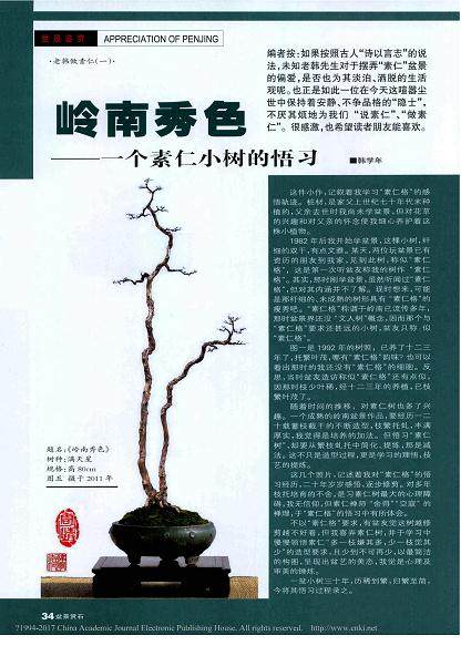 1982年后我开始学盆景,这棵小树,纤细的双干,有点文雅