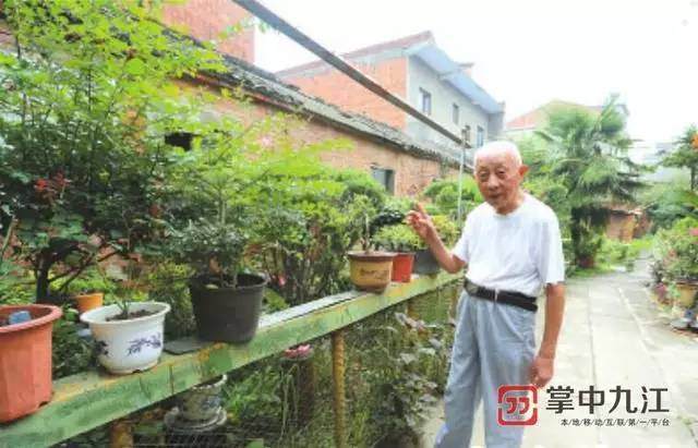 瑞昌|九旬老人痴迷根雕和盆景，30余年创作300余件作品