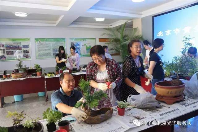 8月19日DIY彩叶盆景公益课开课啦!