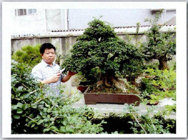 天门盆景艺术家罗世鸿先生