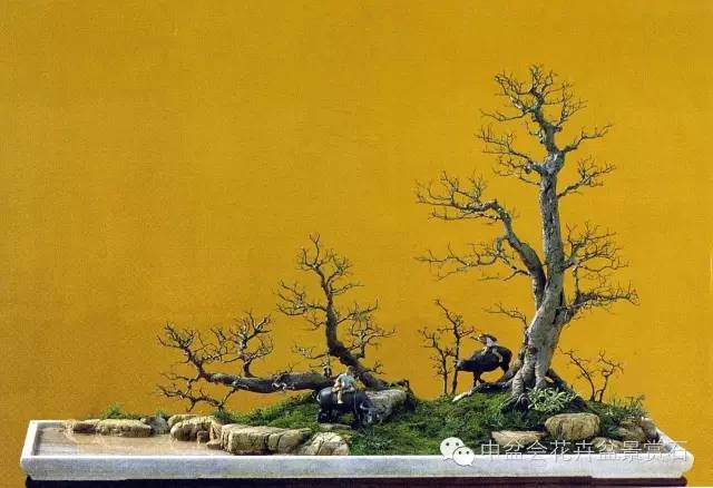 民族的才是世界的&mdash;&mdash;赵庆泉盆景艺术中的文化！