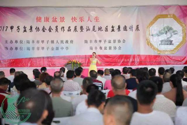 台风&ldquo;天鸽&rdquo;袭粤 . 甲子盆景展如期举行！