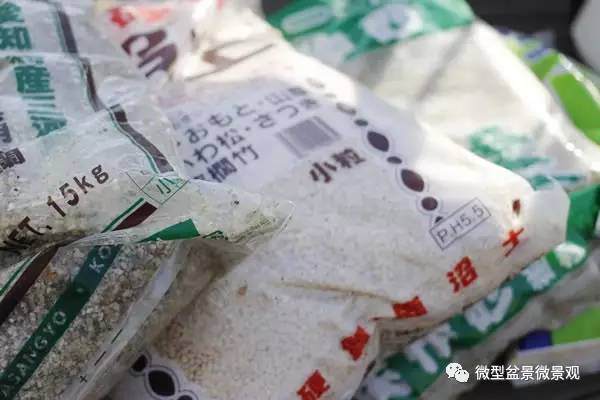 盆景什么树用什么土比较好？