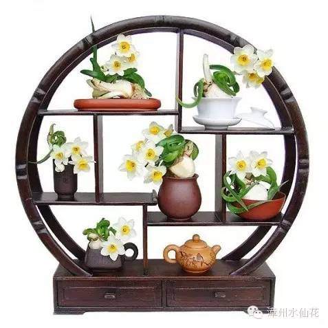 中国水仙盆景造型雕刻技艺考