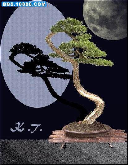 您认同它“是现在文人盆栽的起源”这个观点吗?