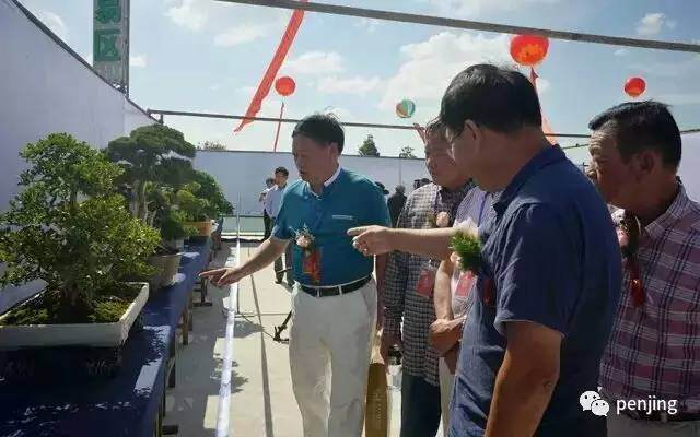 芮新华谈山水盆景发展现状及发展方向