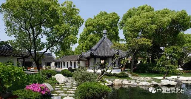 一个意大利人的中国盆景学堂