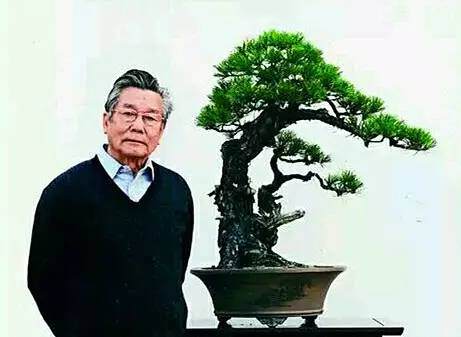 第四届中国风盆景展邀请嘉宾——胡乐国