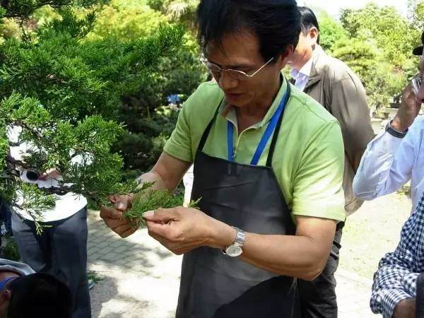 第四届中国风盆景展邀请嘉宾——陈建良