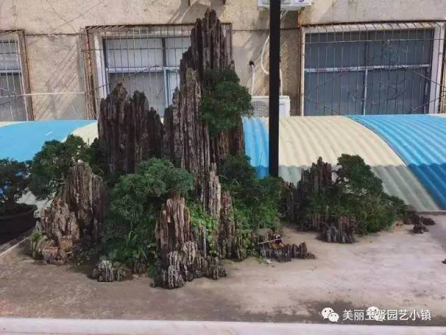 湖北省花木盆景协会盆景分会会长刘昌广先生