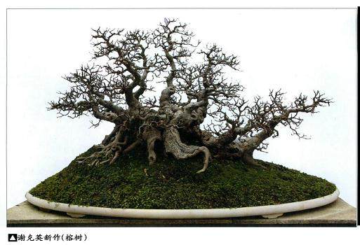 您曾经说过我与盆景共度下半生，盆景事业是不是您的梦想？