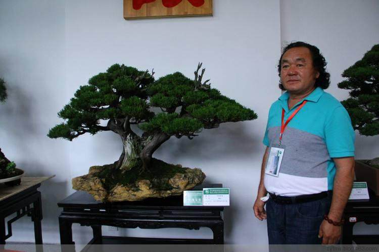 2017年亚太盆景友好联盟大会暨盆景产业博览会