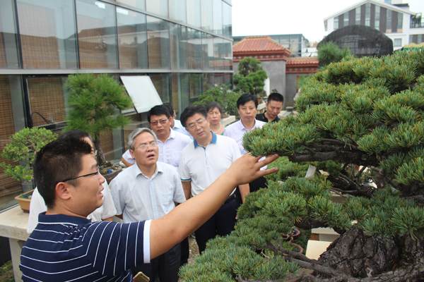 盆景大观园形成花木盆景+互联网+旅游一体化的产业链