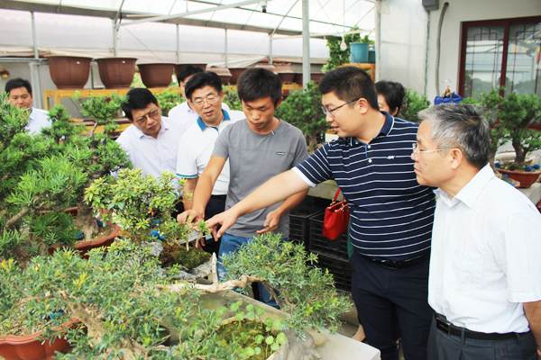 农业部领导来如皋考察现代农业