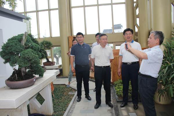 盆景大观园形成花木盆景+互联网+旅游一体化的产业链