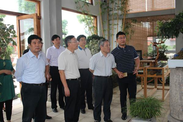 盆景大观园形成花木盆景+互联网+旅游一体化的产业链