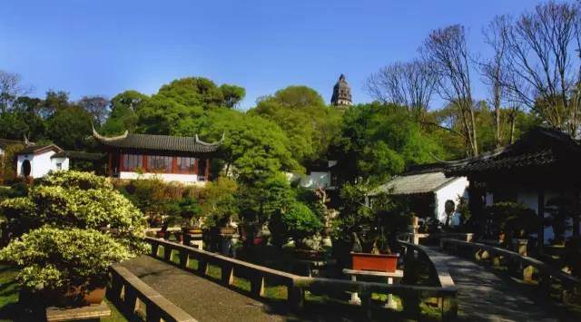 虎丘万景山庄&mdash;&mdash;盆景人的精神家园