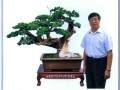 山东青州盆景艺术家任洪文