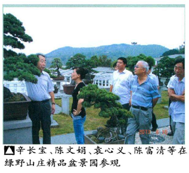 在常州举行的第七届世界盆景友好联盟大会