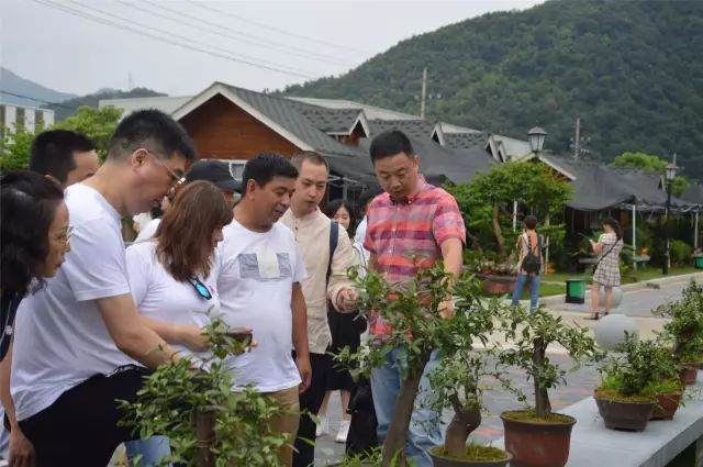你不可错过的旅游圣地——独一无二的盆景小镇前郭