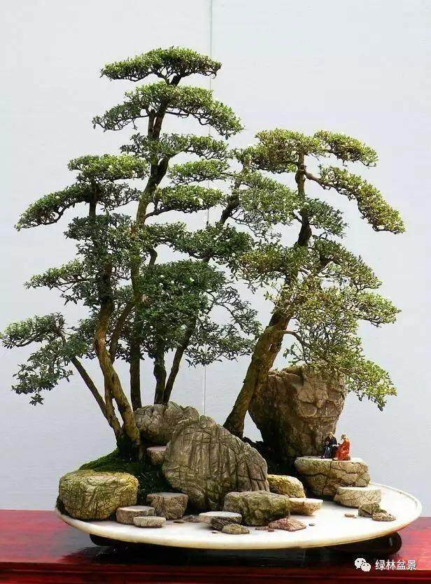 把自己家乡的盆景做好才是正道！