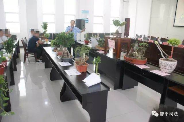 焦桥镇举办社区服刑人员寓意盆景创作大赛