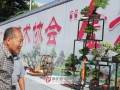 阜阳盆景艺术展会上 5天盆景交易额4万多元