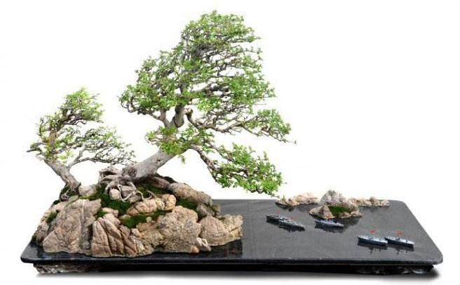 咸宁盆景名家-冯连生