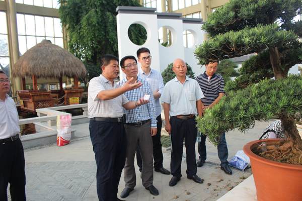 清江浦区 城南街道党工委书记王锋一行来如考察