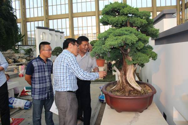 清江浦区 城南街道党工委书记王锋一行来如考察