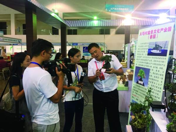 开阳高寨久场村盆景产业助力脱贫攻坚获市场青睐